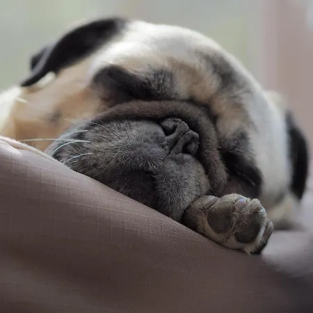 Margarete Zell am See