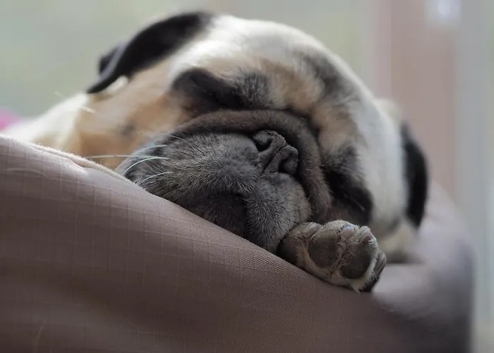 Margarete Zell am See